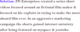 Solution: ZN Enterprises created a series short videos focused around an fictional film maker & focused on his exploits in trying to make the most absurd film ever. In an aggressive marketing campaign the shorts gained internet notoriety after being featured on myspace & youtube.